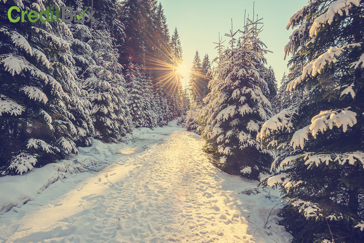 Plan Your Winter Getaway on a Budget!